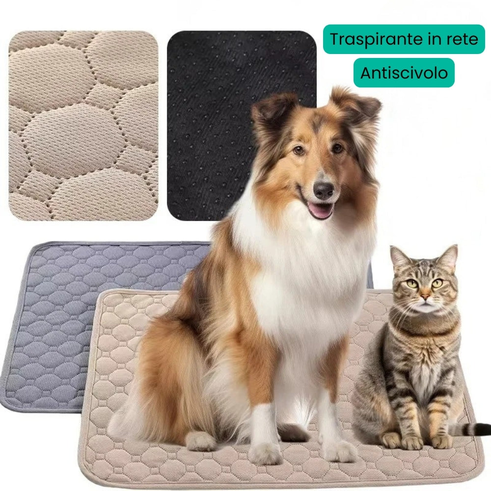 Tappetino PipiStop™ – Lavabile & Impermeabile