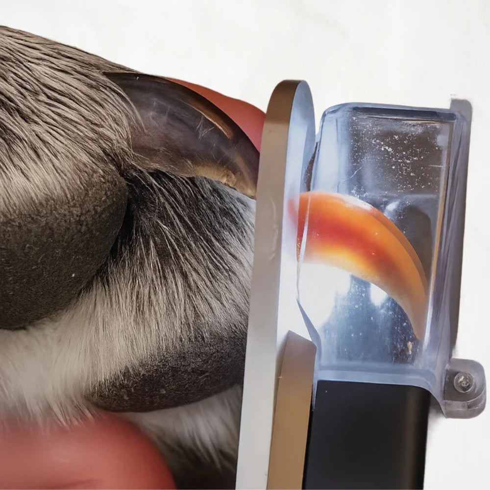 Taglia Unghie Elettrico per Cani