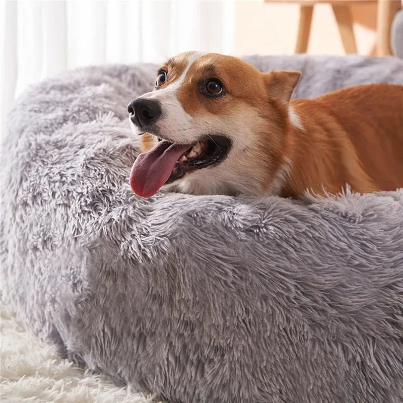 SoftCloud Pet Bed™ - Letto Rotondo Super Morbido