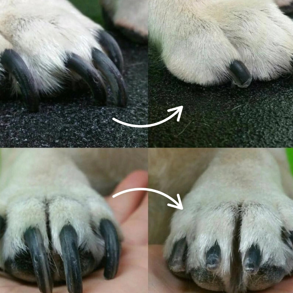 Taglia Unghie Elettrico per Cani